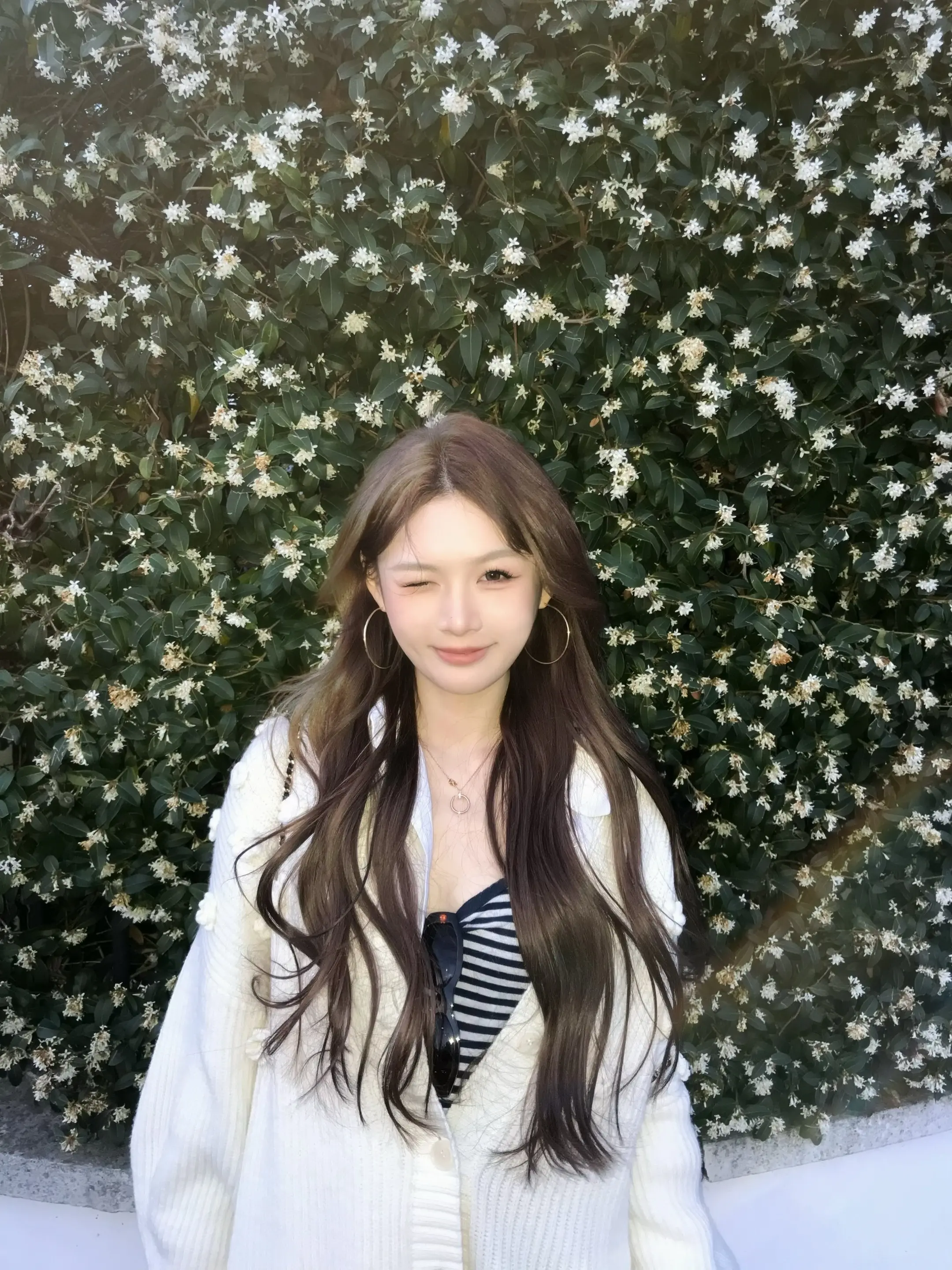 墙角开了一朵小花。