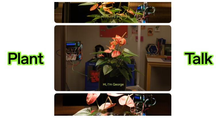 OpenAI 最近在 GitHub 平台公布了“Plant Talk”开源项目，