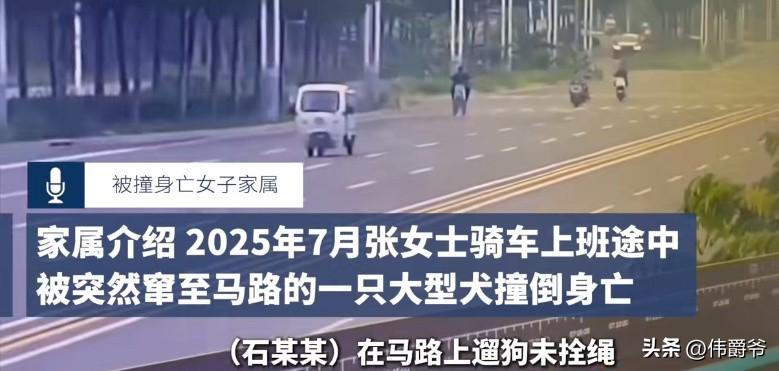 2025年7月20日清晨，38岁的张女士和姐姐骑电动车上班，在邯郸某路段，突然遭