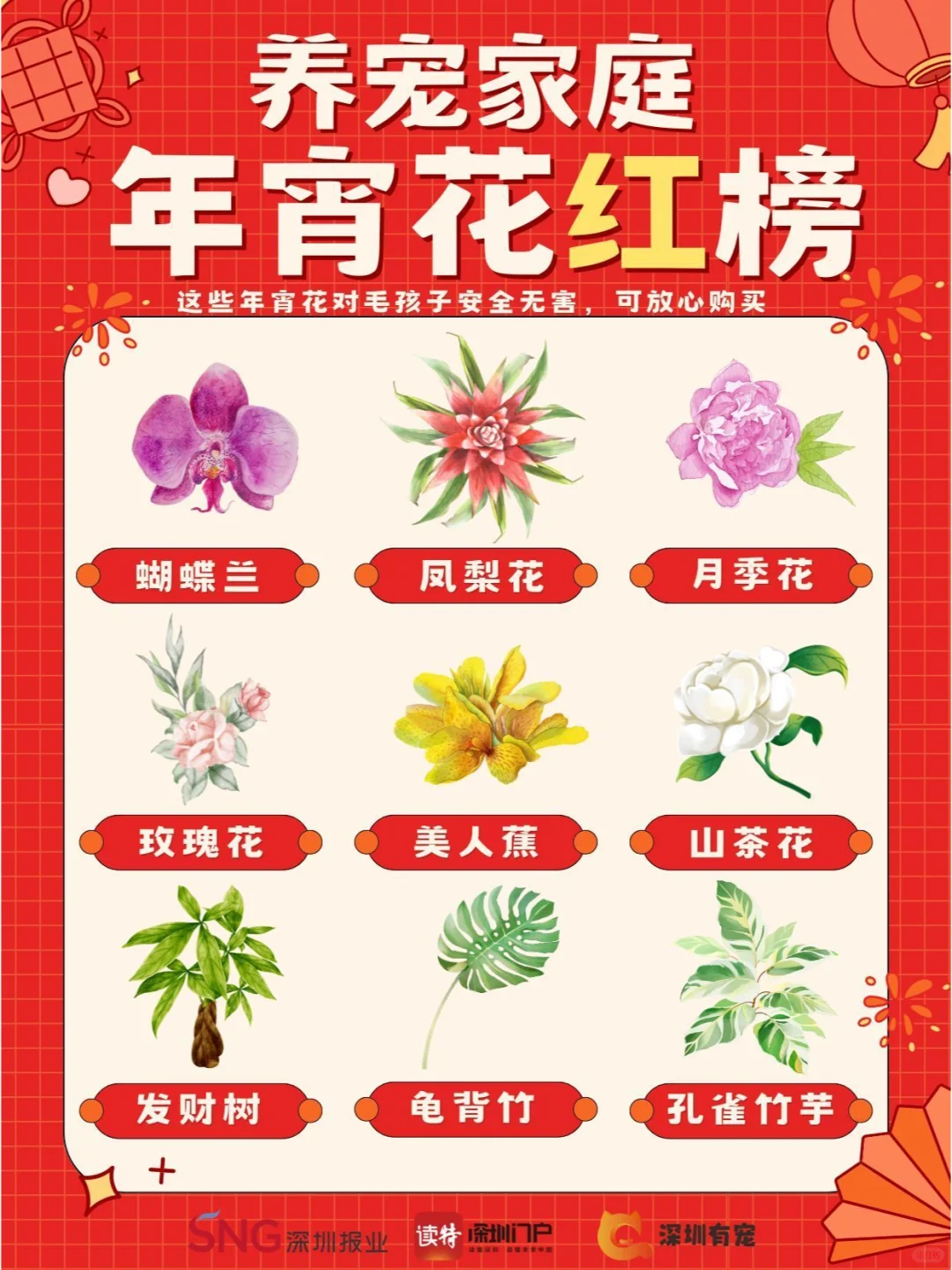 迎春花市火热开启！养宠人请避开这些年宵花