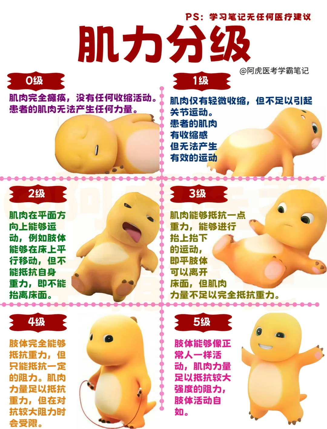 医学生笔记📒一篇学懂肌力分级👆
