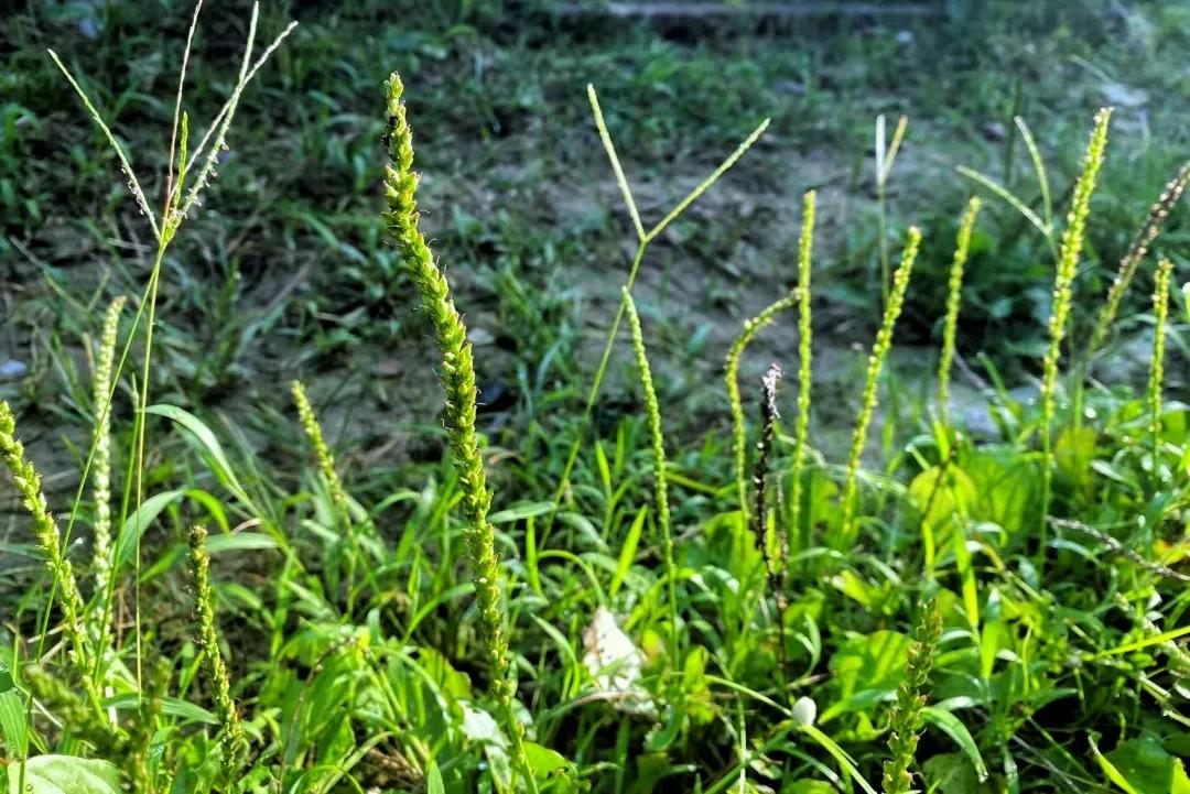 别人拥有的，你不必羡慕，只要努力，你也会拥有；自己拥有的，你不必炫耀，因为别人也