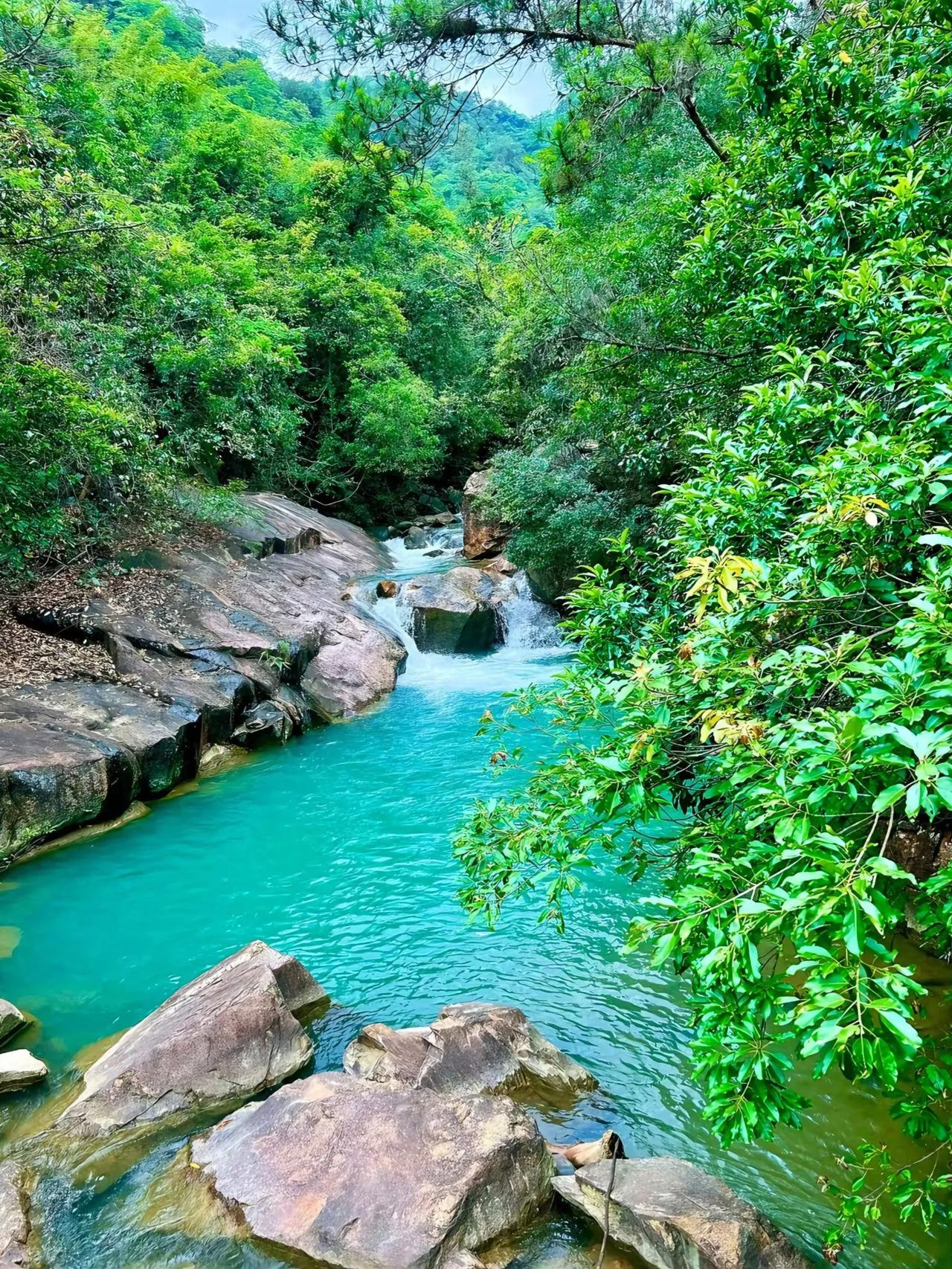 仅10元门票！探秘广州白江湖森林公园，吸氧玩水很治愈！这里简直是周末放松身心的绝