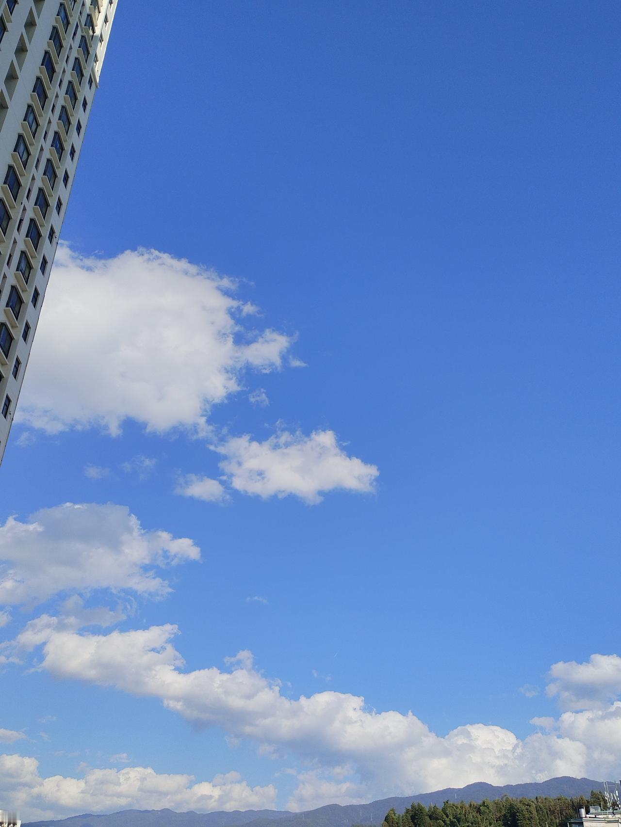 记录我的2026 记录我的2026
2026年的冬日，天空澄澈如洗，仿佛历经岁月