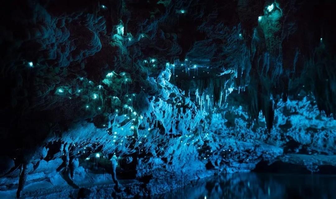 你不是输在没消息，是输在没规矩。
专业玩家早就不用手点单了，78%靠程序自动买卖
