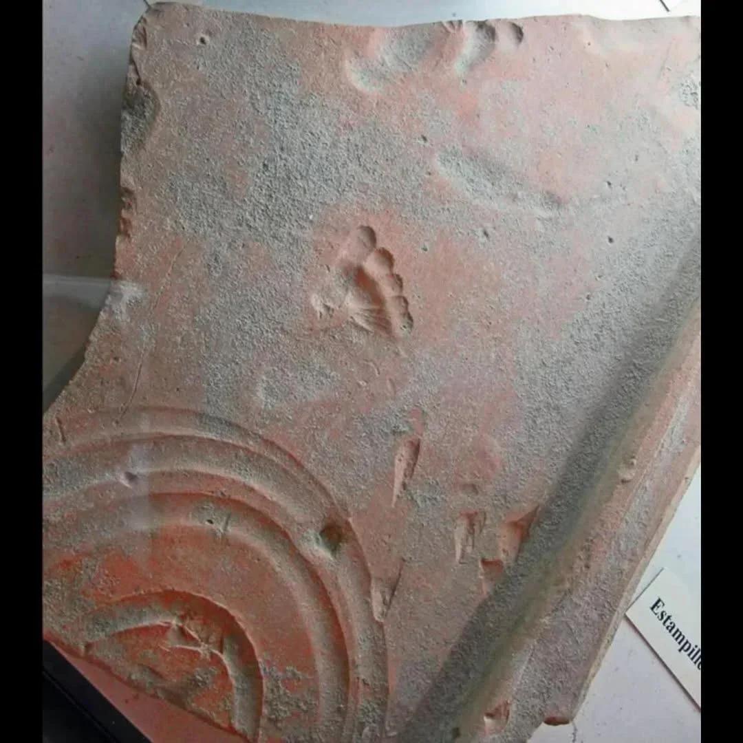 一块约两千年前的古罗马黏土瓦片上，留有一个幼儿的脚印，长约30厘米。瓦片在晾干前