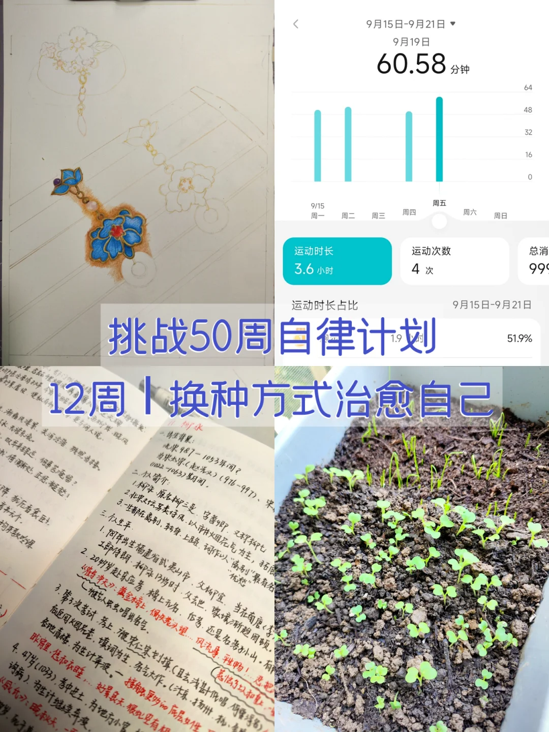 挑战50周自律计划｜12周：换种方式治愈自己