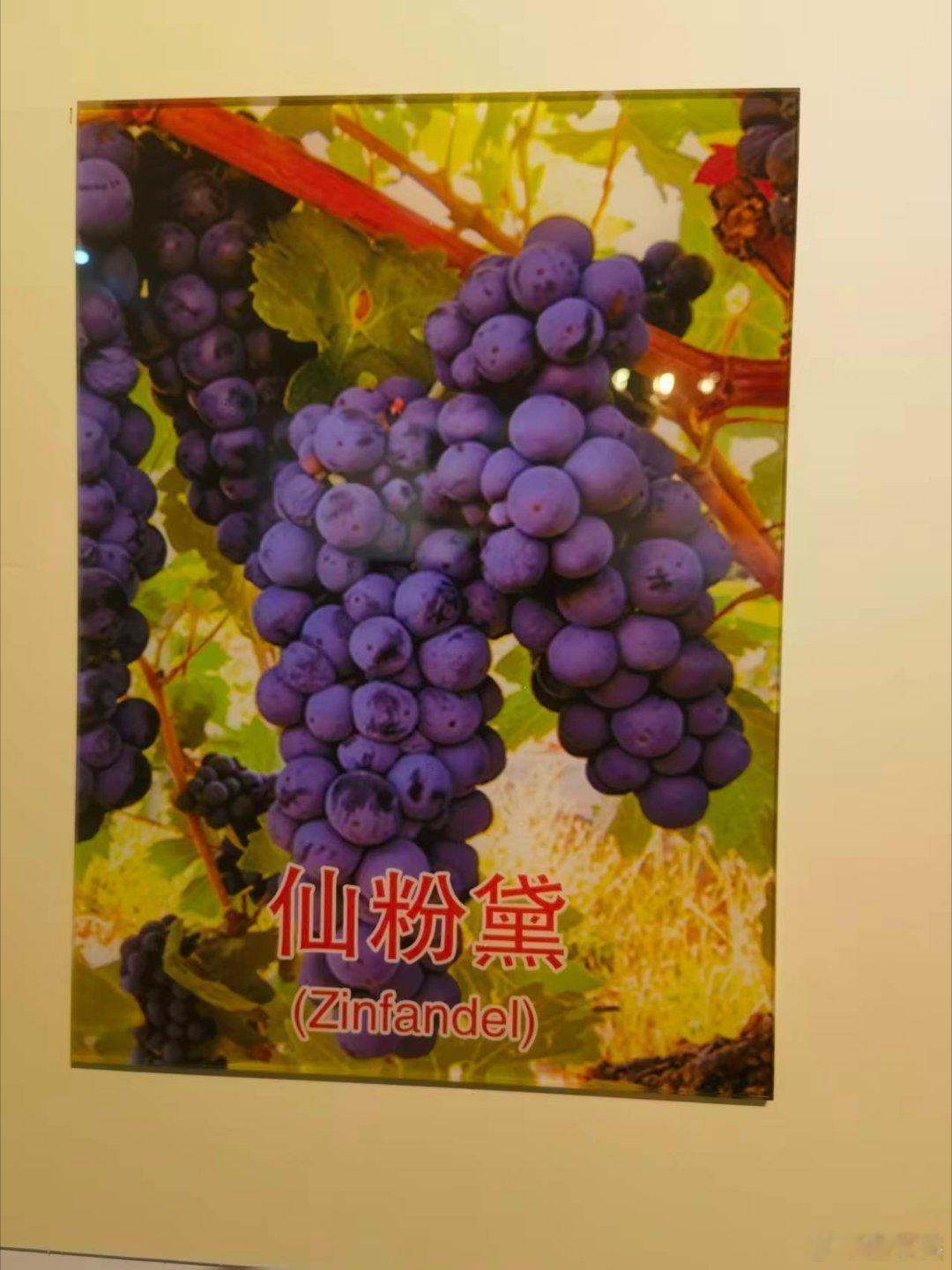 书画家盛怀杰白露 今天是二十四节气里的白露，从今天起就到了仲秋季节。都说白露是二