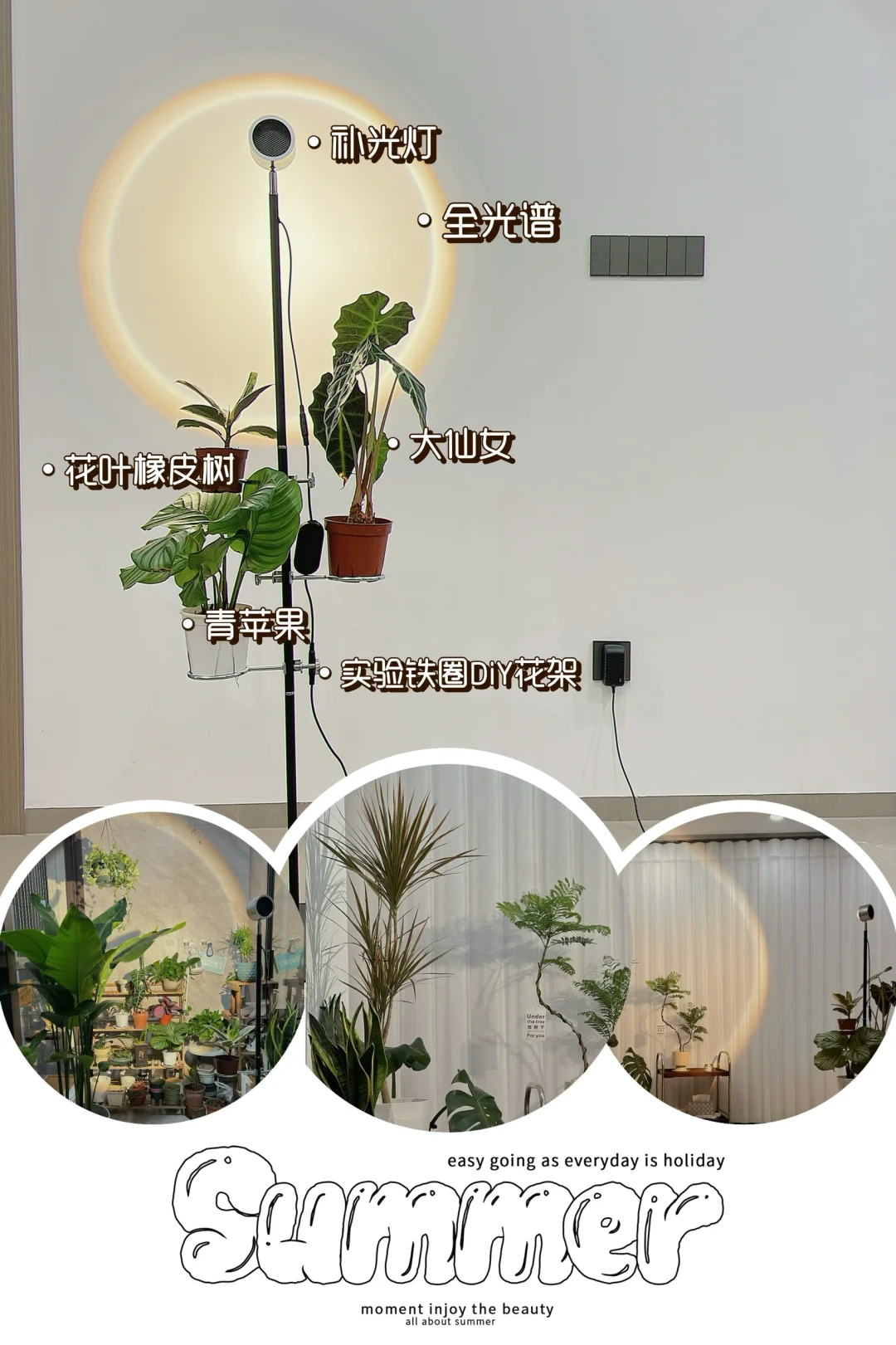 植物补光灯白天开还是晚上开❓