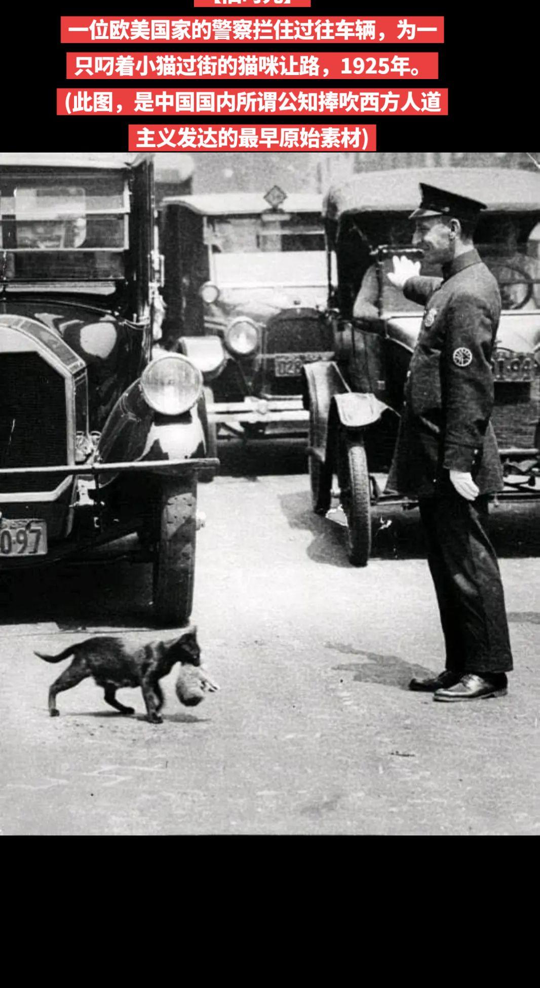 【旧时光】一位欧美国家的警察拦住过往车辆，为一只叼着小猫过街的猫咪让路，1925