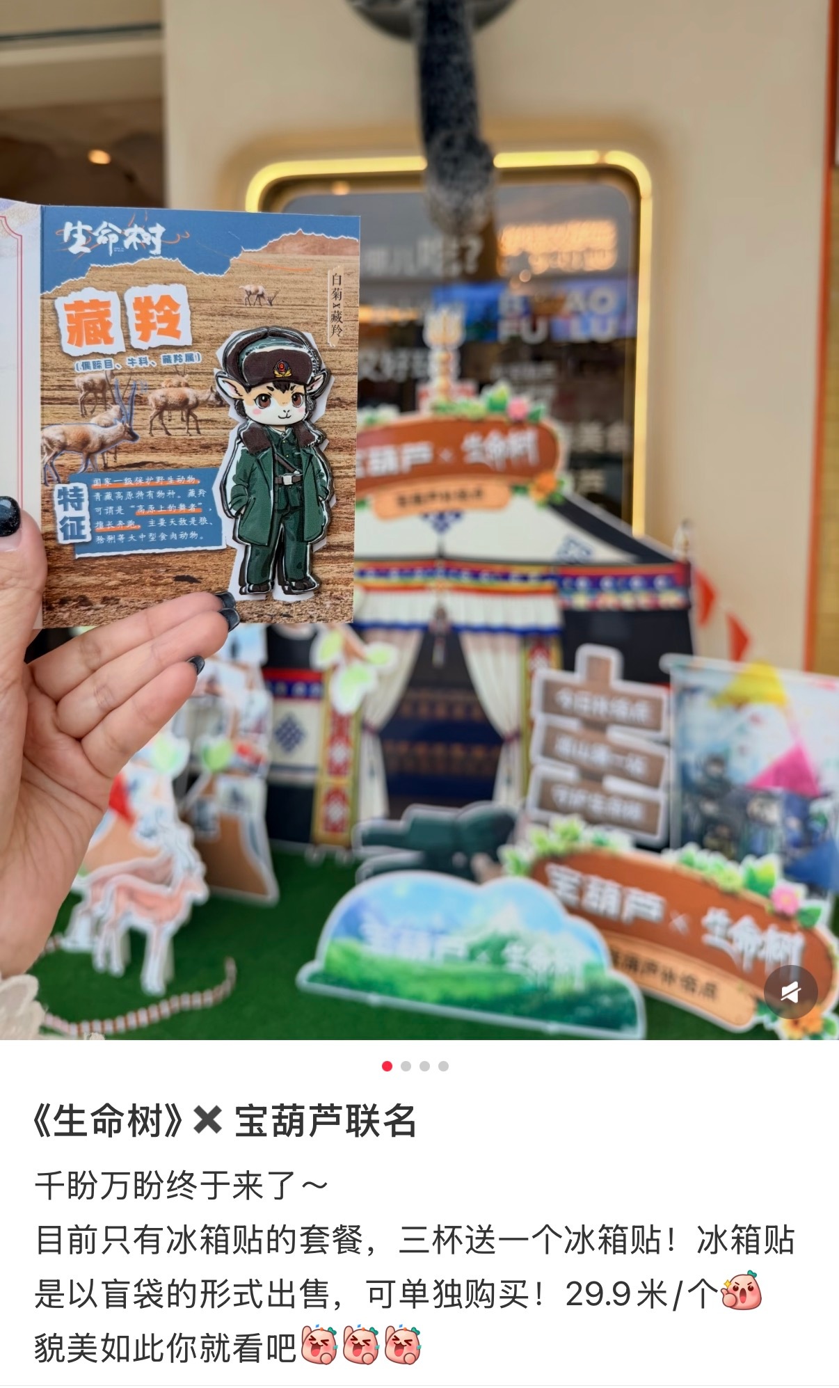 有没有青海当地的紫米阿，我想要这个生命树的联名冰箱贴，白菊好可爱！！为什么杭州没