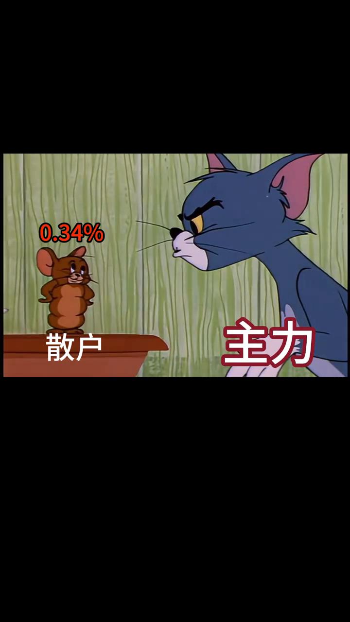 主力，散户。