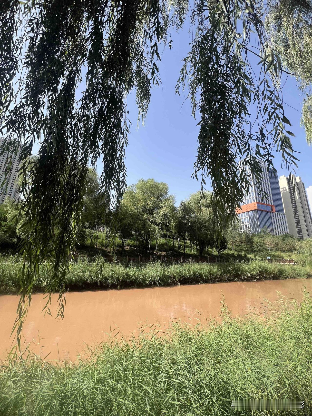 一张图片记录夏日美好瞬间清晨阳光明媚，赴一场浪漫之约，迎接新的一天，伏天阳光☀️