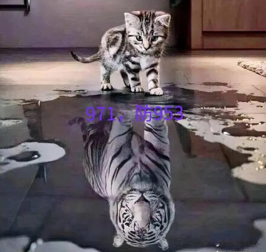 照猫画虎，照着葫芦画瓢。DDD↓↓↓↓↓↓
