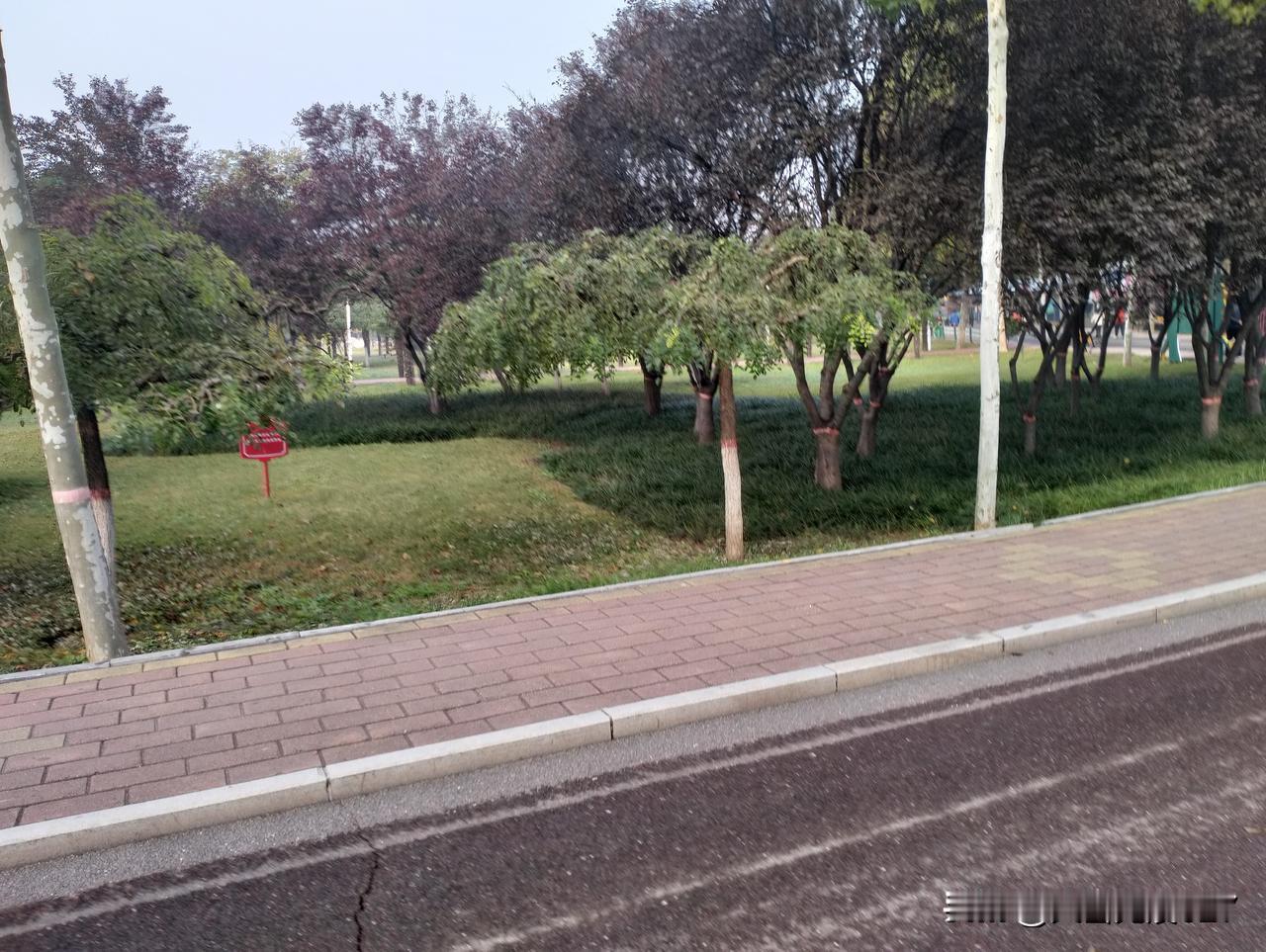 跑步🏃🏻‍♂️跑步🏃🏻‍♂️