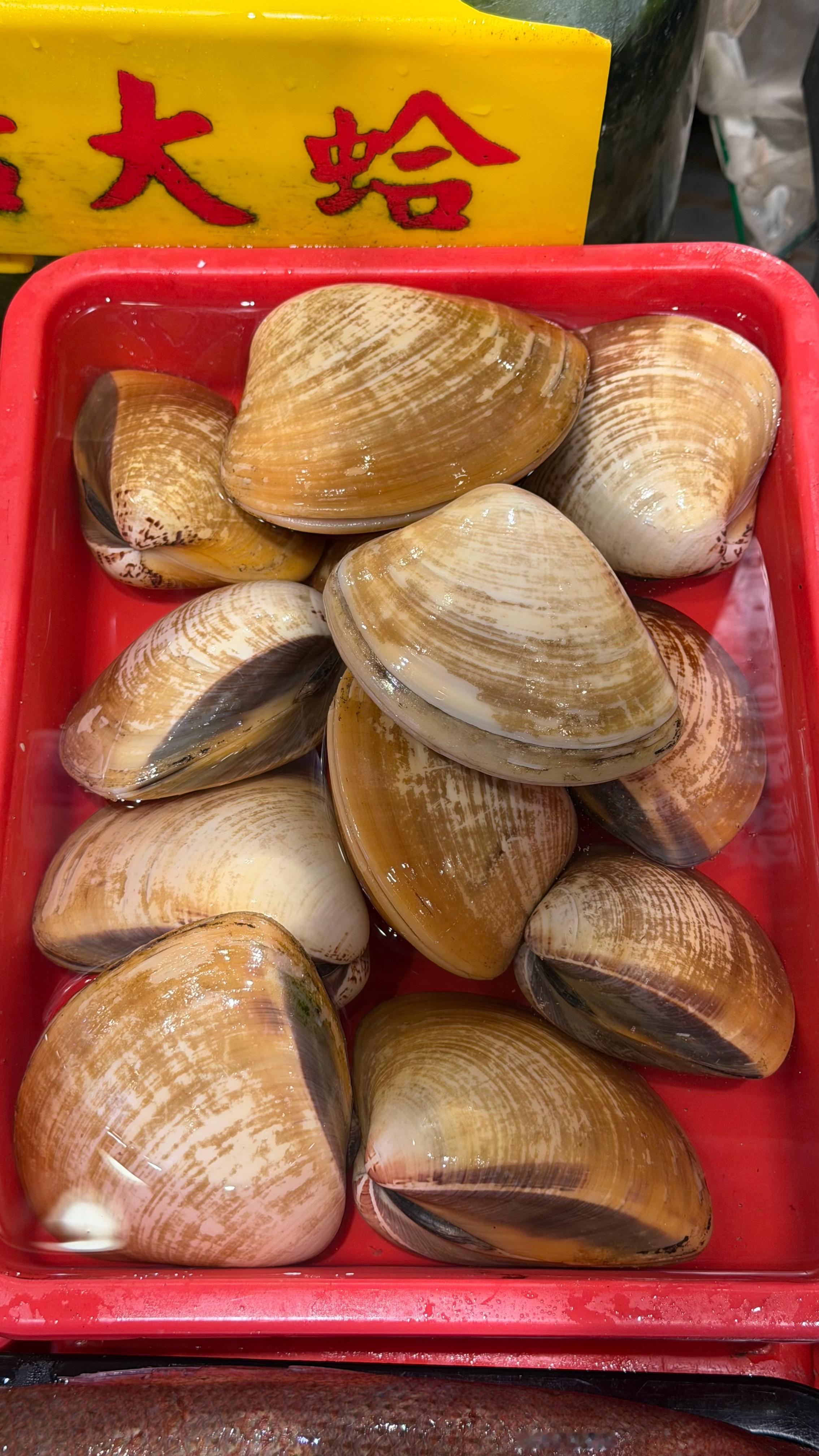 今晚就是海鮮控的天堂🦞🦪🐟滿滿一整盤新鮮海味，看得眼花撩亂，每一樣都讓人想