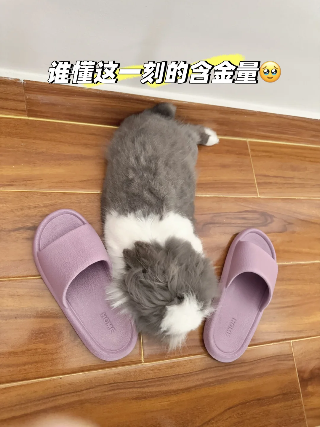 醒来看见孩子趴在拖鞋中间睡着了~~
