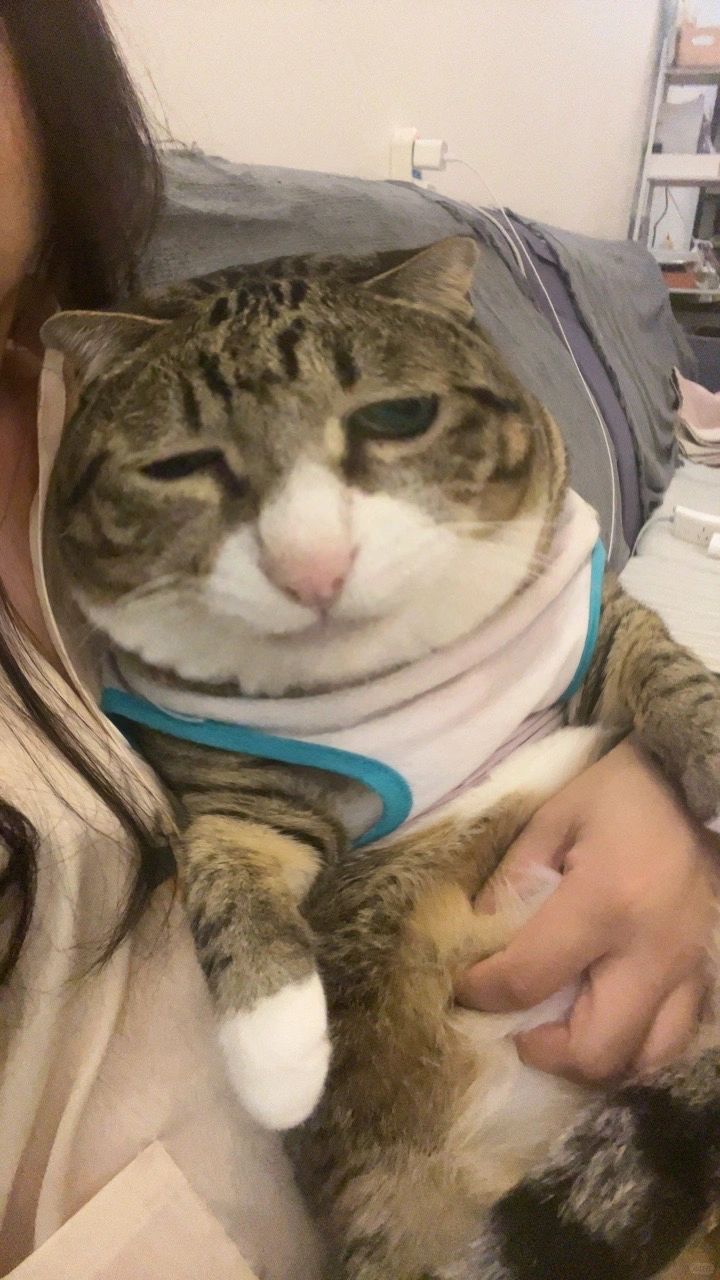 还有比它丑的吗