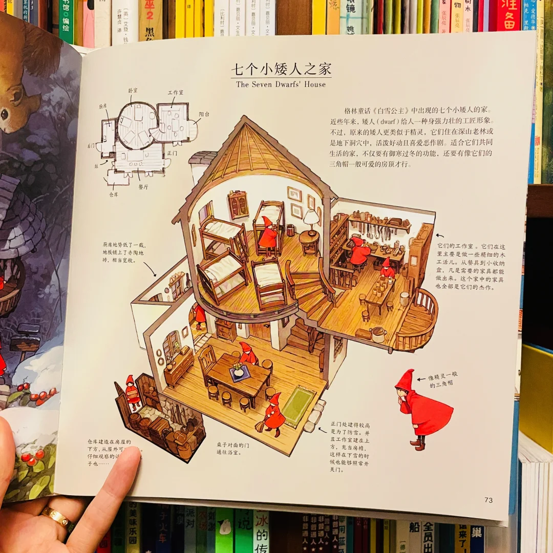 通知！通知！这本书有货了！！！我爱剖面图！！