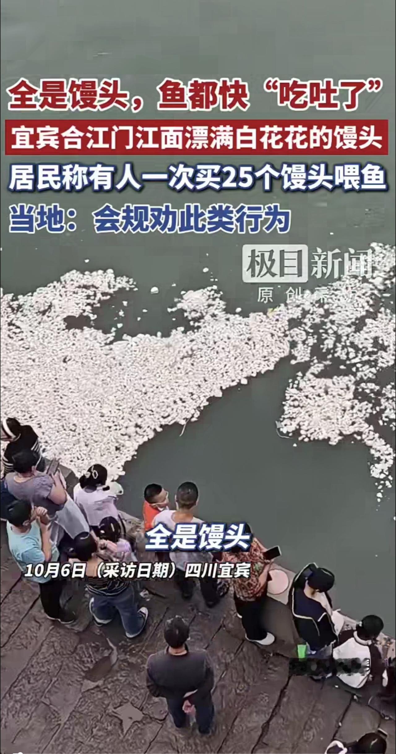 宜宾合江门江面漂满白花花的馒头，有人一次买25个馒头喂鱼，居民称“鱼食多得根本吃