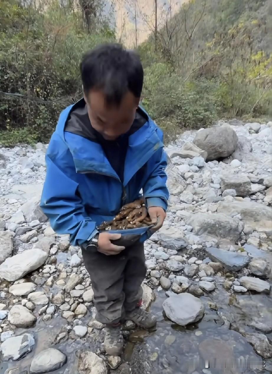 苗完成了七星山的首富!
 
苗王成“首富”蹲溪里搓山药，还喊“山药小王子”来围观
