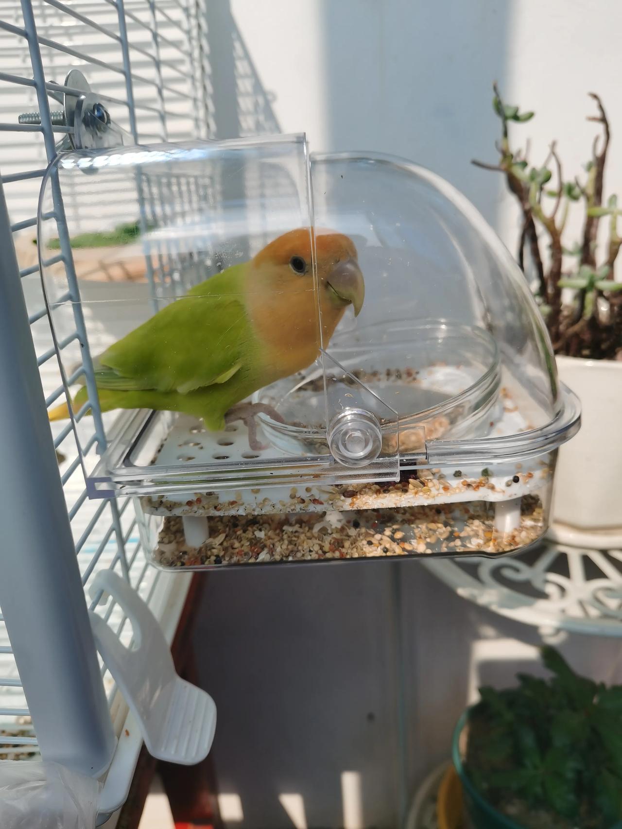 #看看你相册最新一张照片#