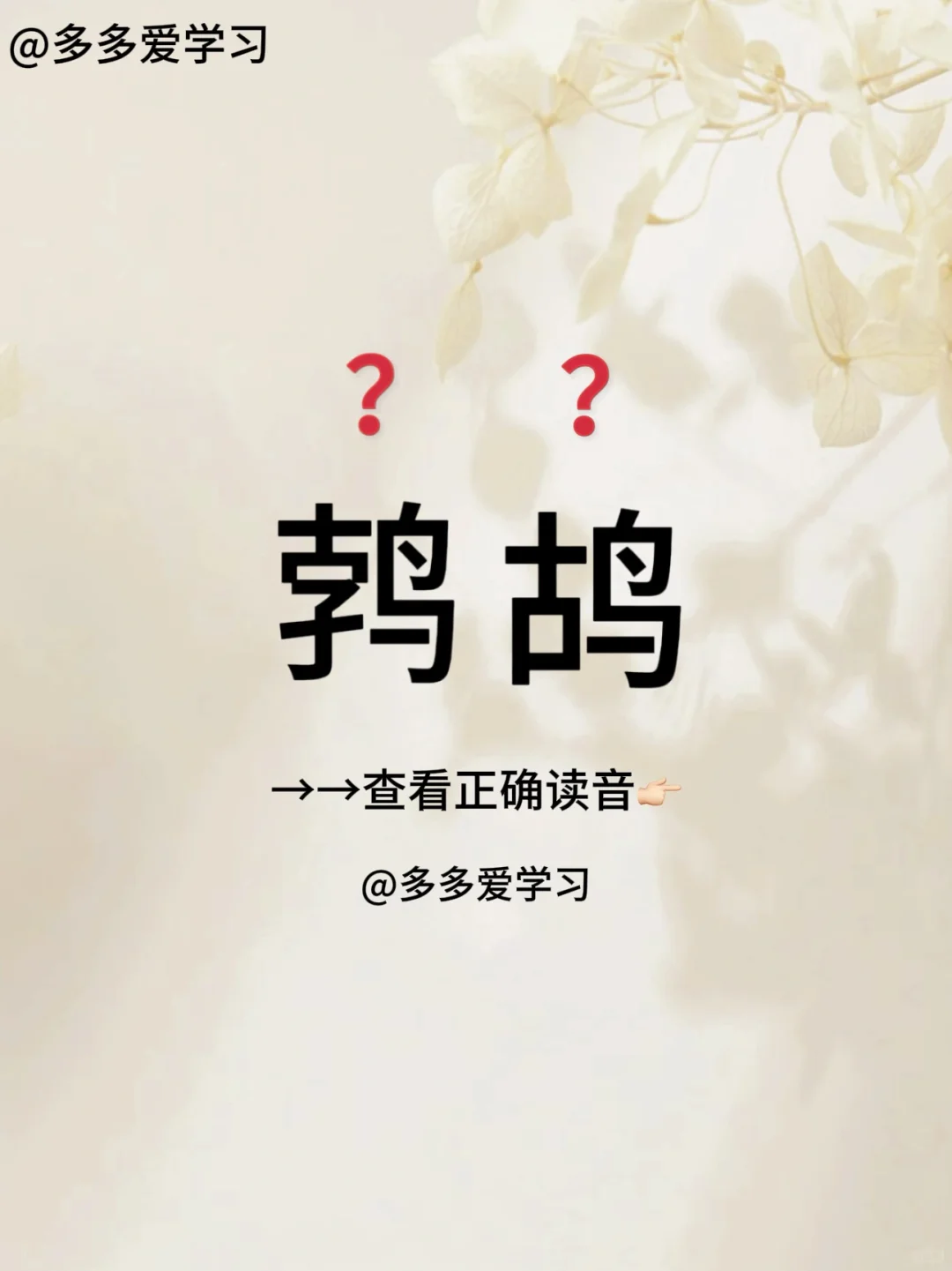 鹁鸪——你读对了吗 🍇鹁鸪 🍇解释：鹁鸪又名斑鸠，是鸽形目鸠鸽科斑...