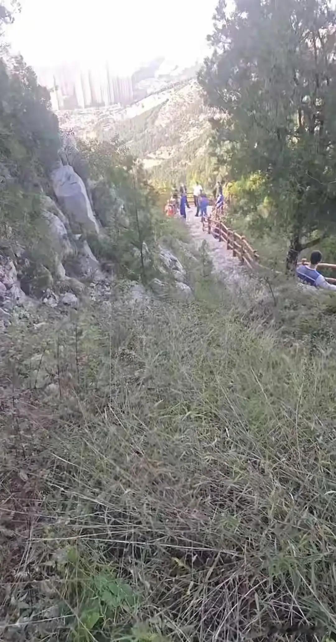 济南失联男子后续：遗体在山崖下发现，网友曝光真实死亡原因
 
济南29岁男子苏某