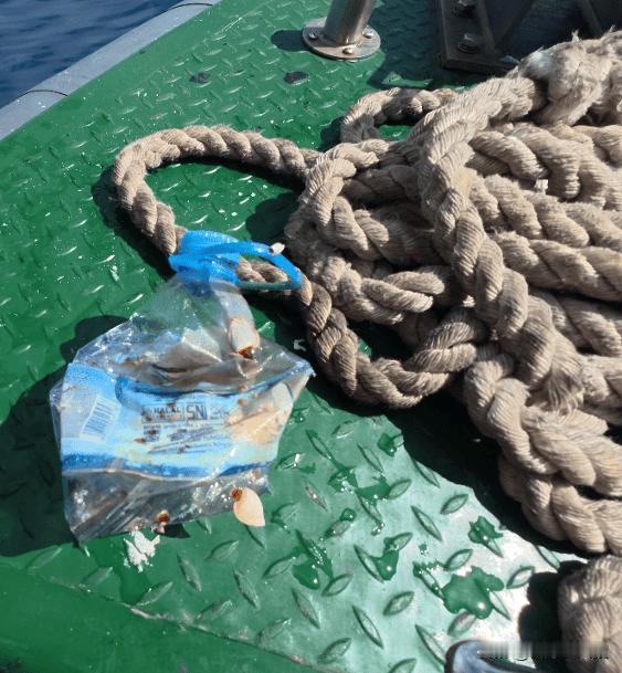 据央视新闻消息，近日，中国海警东安舰编队在仁爱礁附近海域执法巡查时，发现海面漂浮