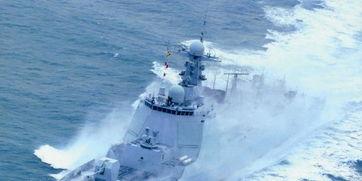 违背和平宪法与历史责任：日本现行和平宪法不允许其在海外行使武力。但此次日本自卫队