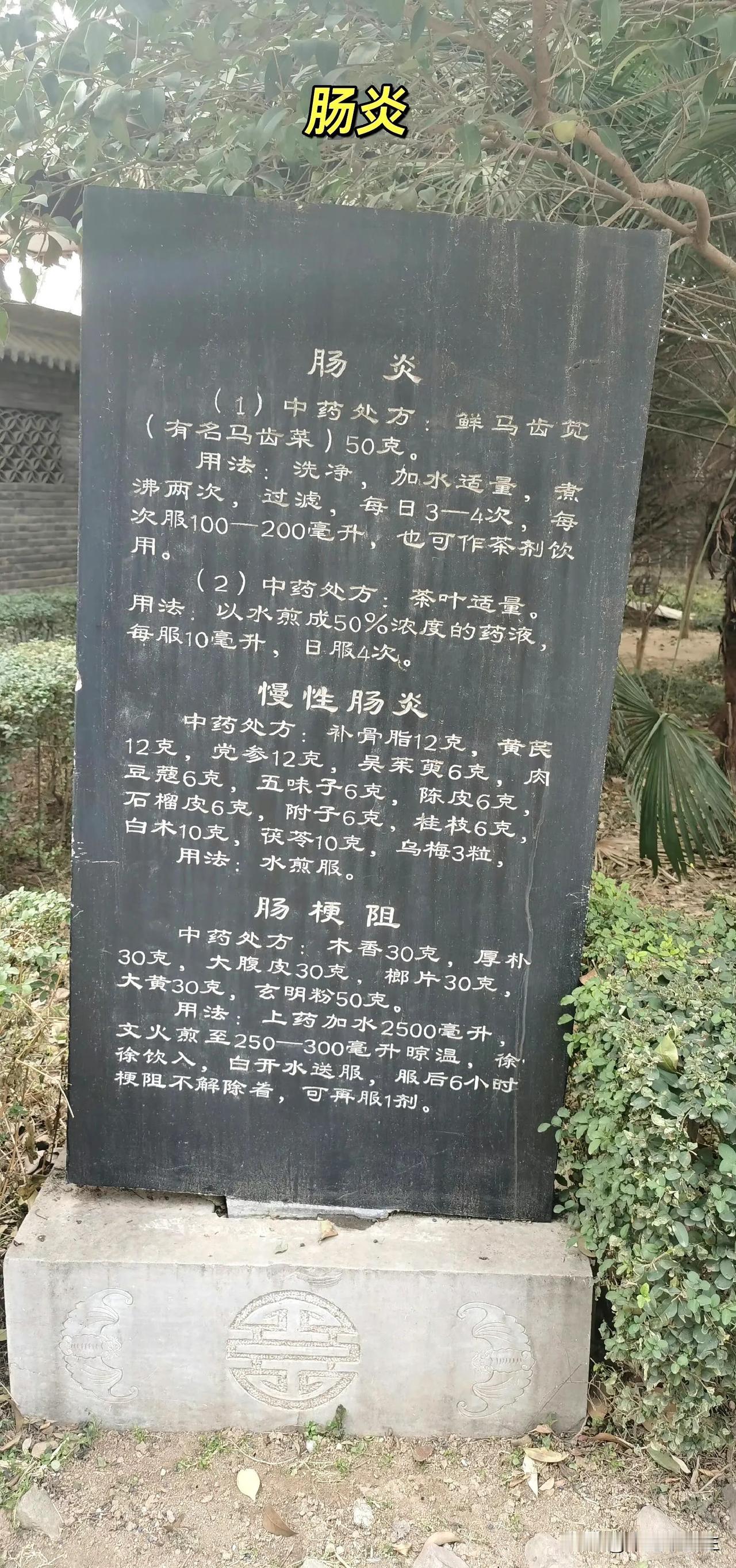 肠炎| 拍自扁鹊馆，仅供参考。