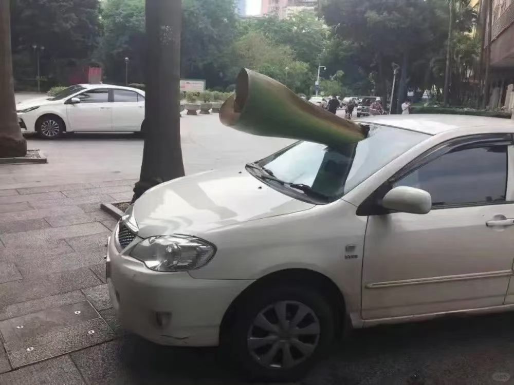 看之前：啥叶子还至于专门提醒？看之后：卧槽？？？！！！ 