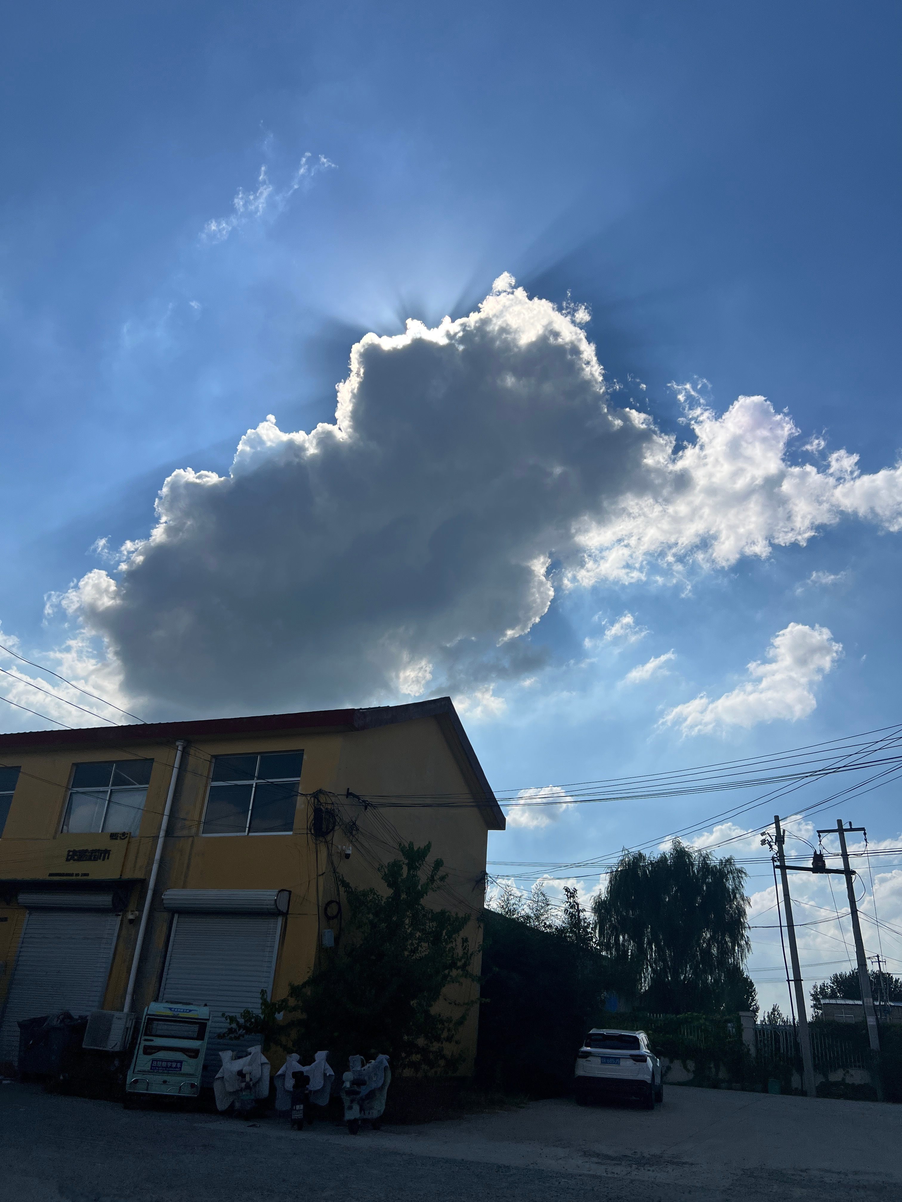 青春快乐岛 ​​​