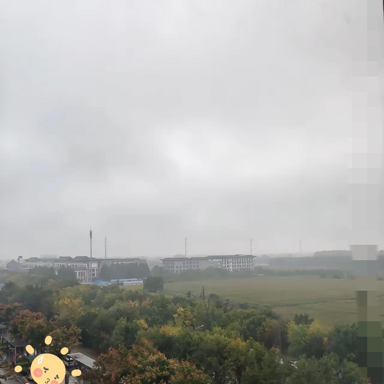 真服了山东这天气！

   咱都快忘了有阳光味的裤衩子长啥样了，

   这雨下