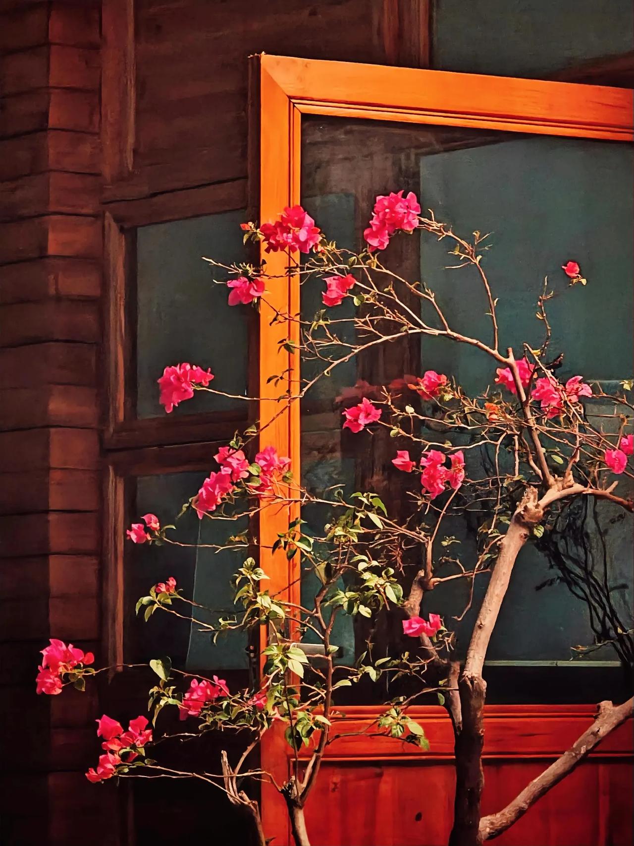花开富贵#我的摄影日记# #秋日绽放的花#