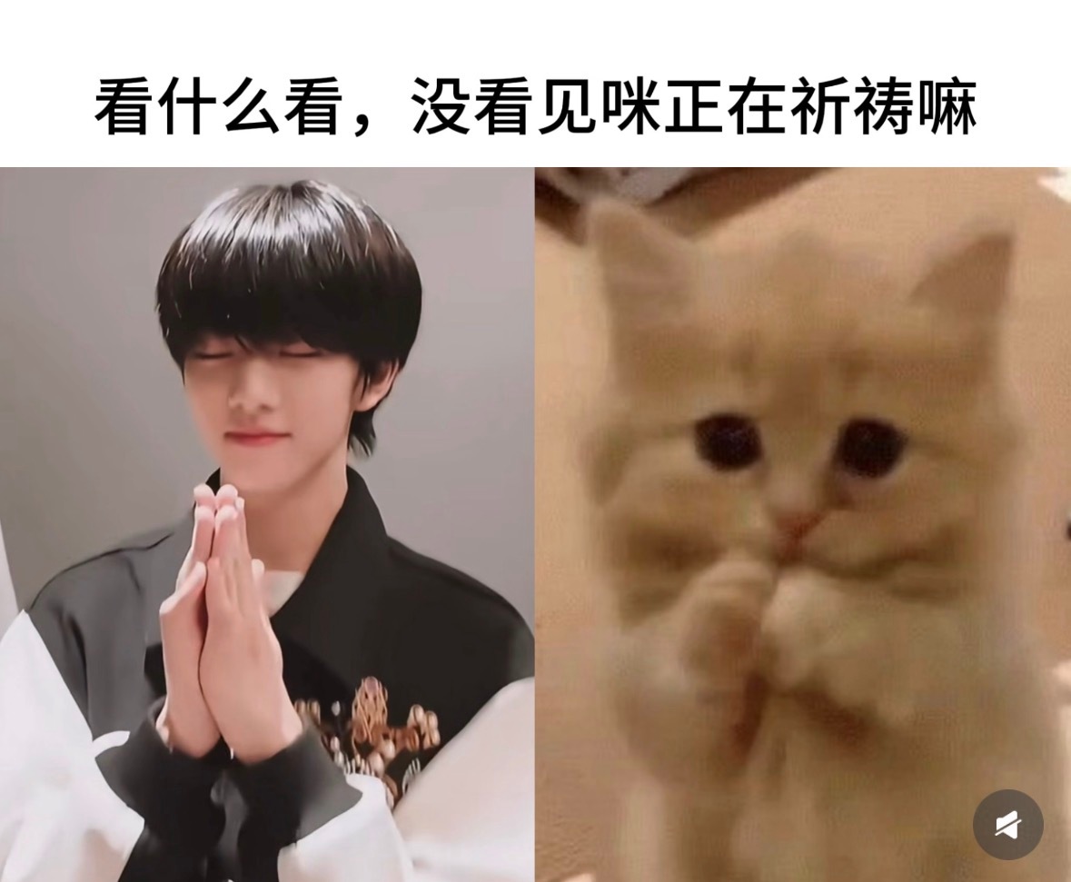 咪在祈祷🙏🏻 