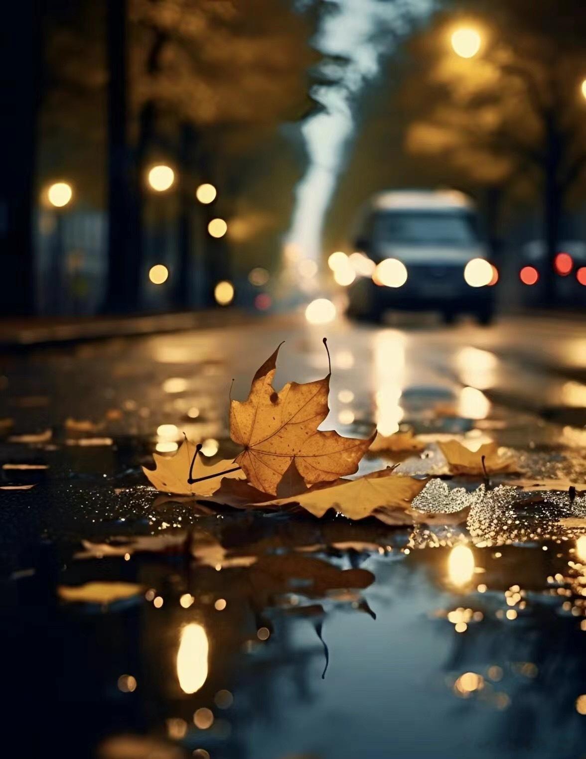 昨天一场冷雨和大风，刮落一大片我还没来得及去细细欣赏的🍂。趁着今天天气不错，抓
