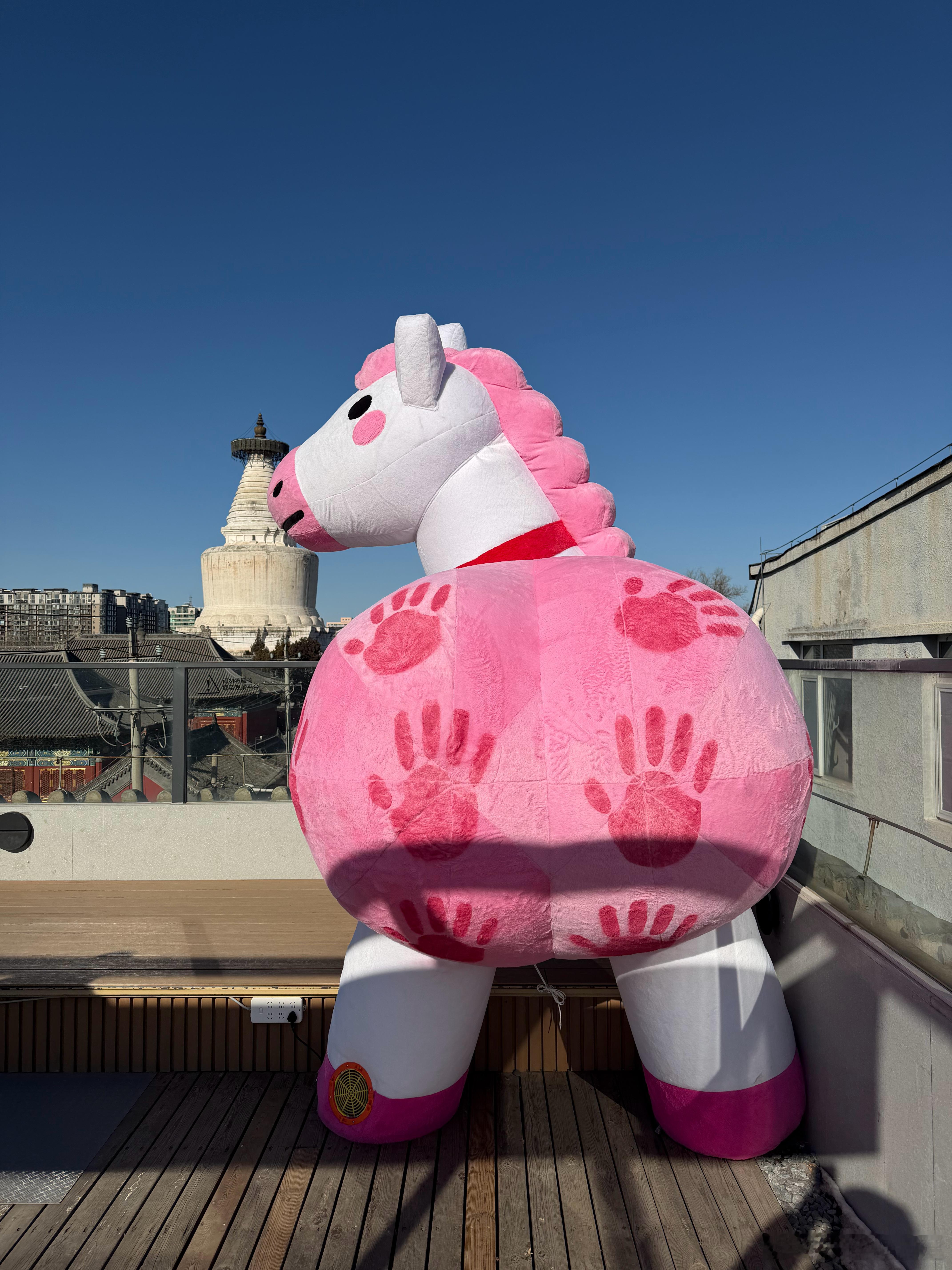 来白塔寺“拍马屁” 