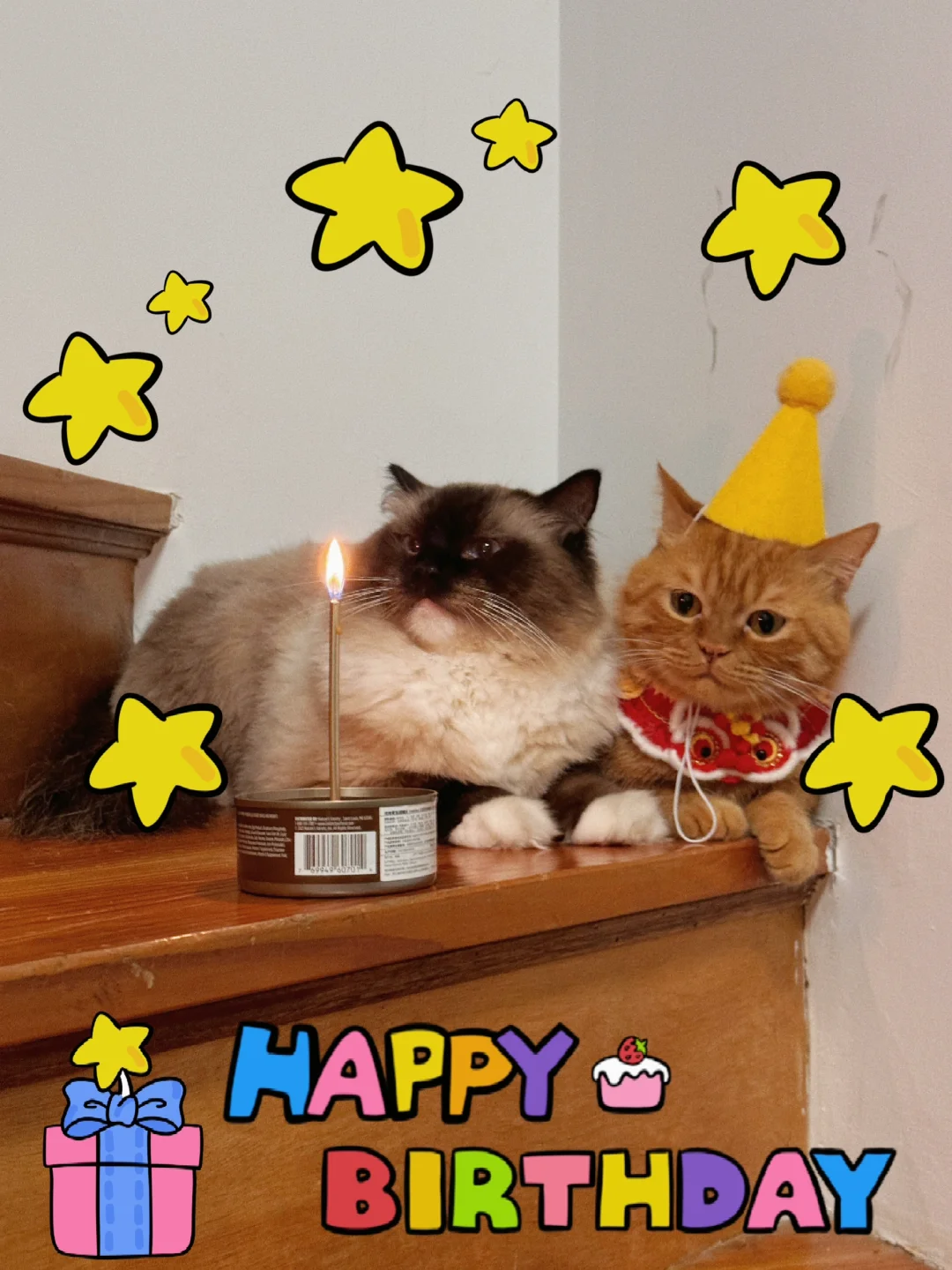 今天祝我最爱的橘哥，生日快乐🎂
