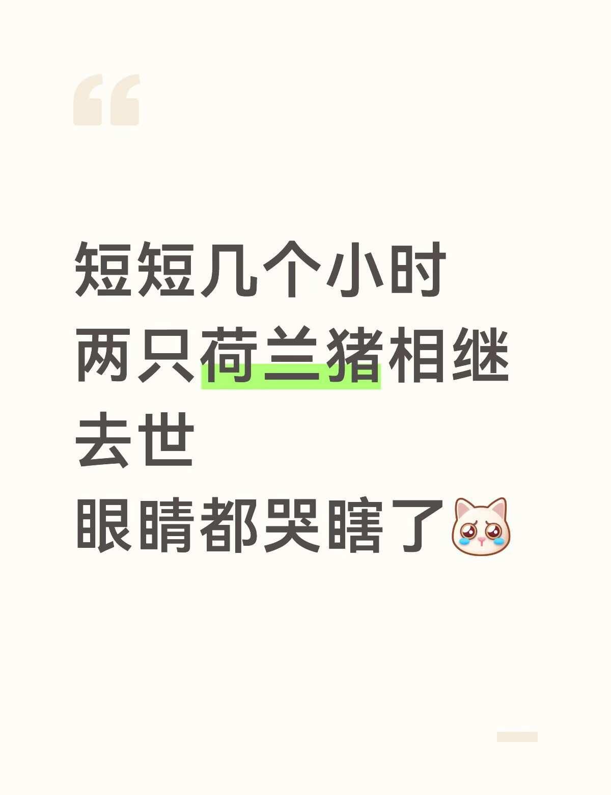 大家引以为戒，有一点点不对劲就一定要重视，我觉得是我拖死的[流泪]一直没好，刚吃