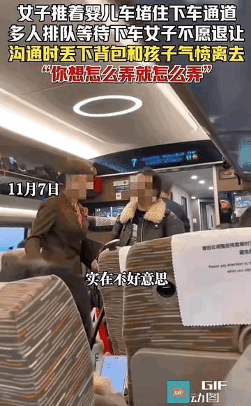 11月7日，湖北武汉开往北京的一列高铁上，中途到站停车时有乘客准备下车，却遭到一