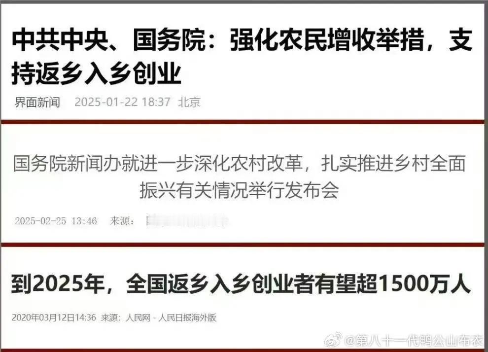 这十个月里发生了什么🤔农村