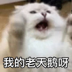 起床一看又掉了两娃