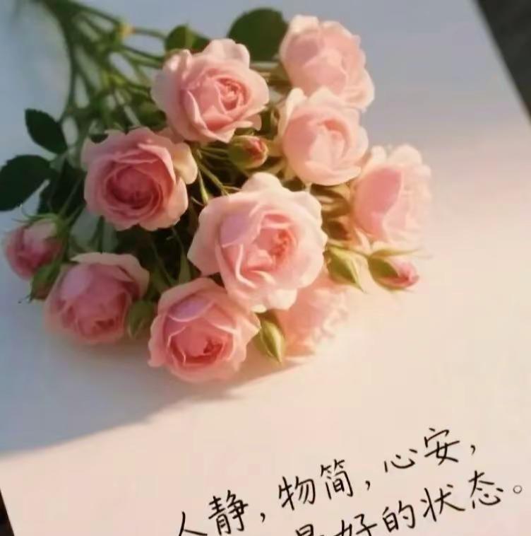 年已过完 重启自己！人静  物简  心安便是最好的状态！