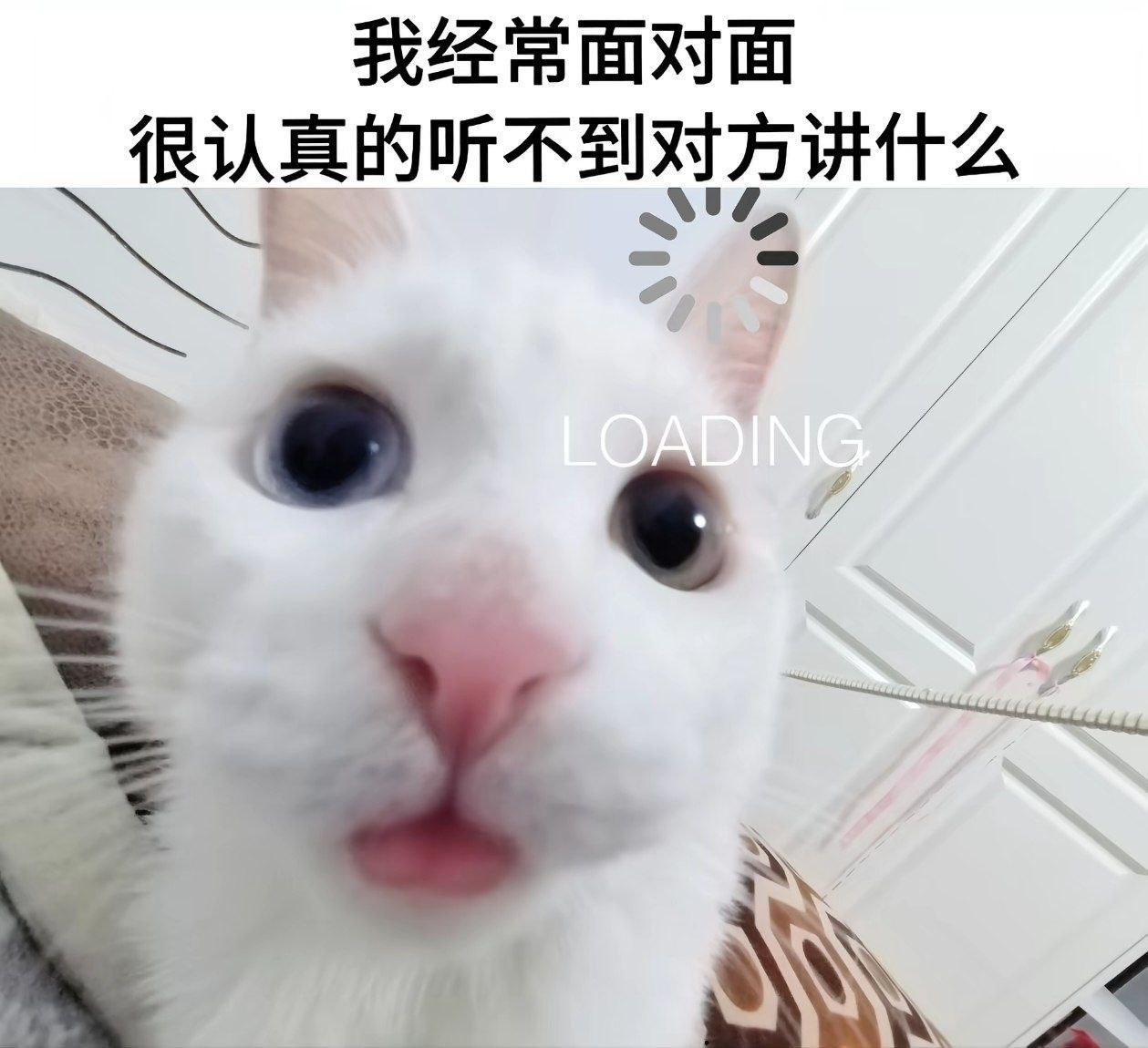 然后下一秒就忘记了