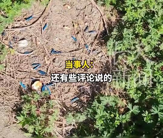 江苏一男子常年在窗边抽烟，烟头随手丢向窗外草地，直到某天他惊觉，常扔烟头的地方竟