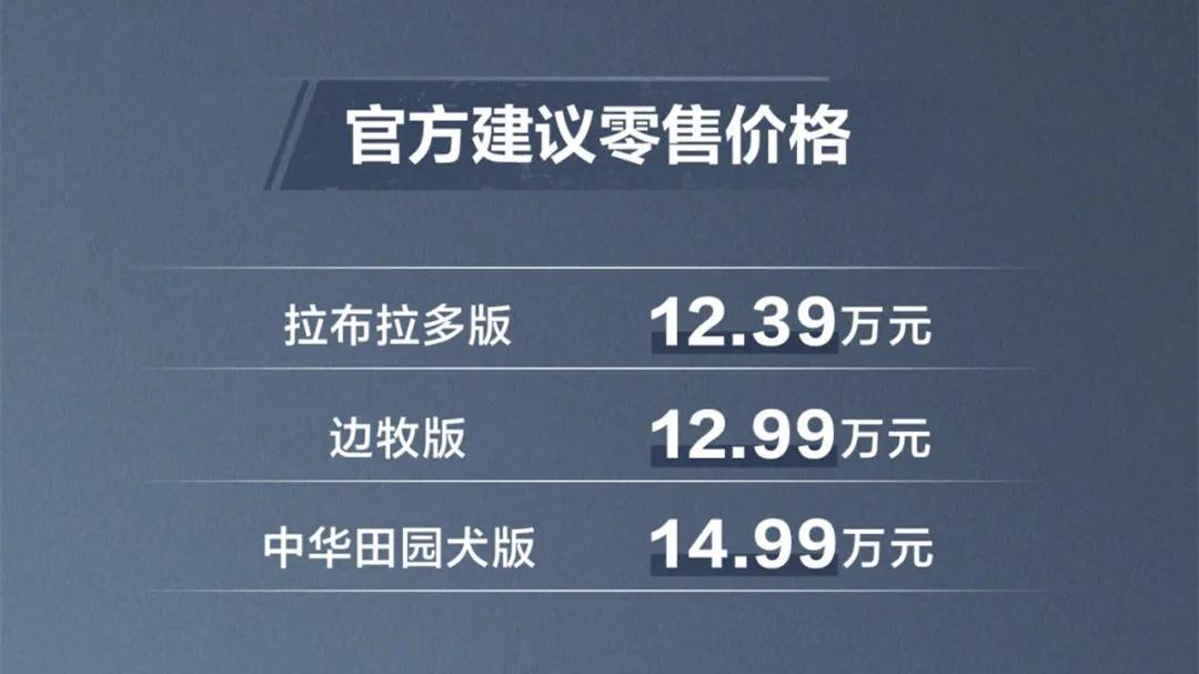 2024款哈弗大狗上市，它的官方指导价为12.39-14.99万元，共推出3款车