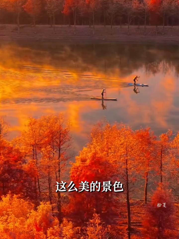 我好像看到了古人眼中的世界。
柳宗元真的诚不欺我，刷到网友拍的情水池鱼，潭中鱼可