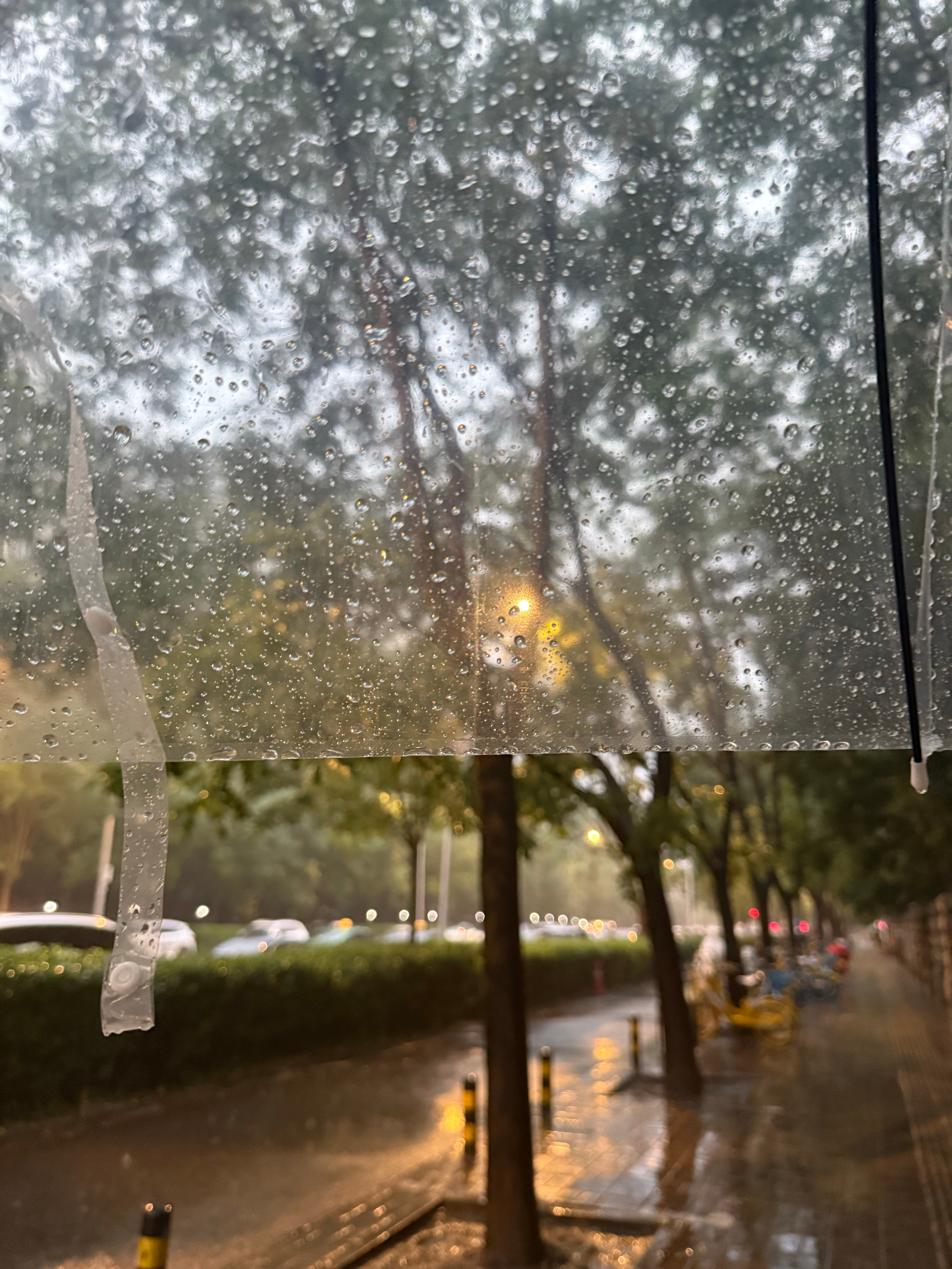 工作结束！开启周末下雨宅家看小说模式