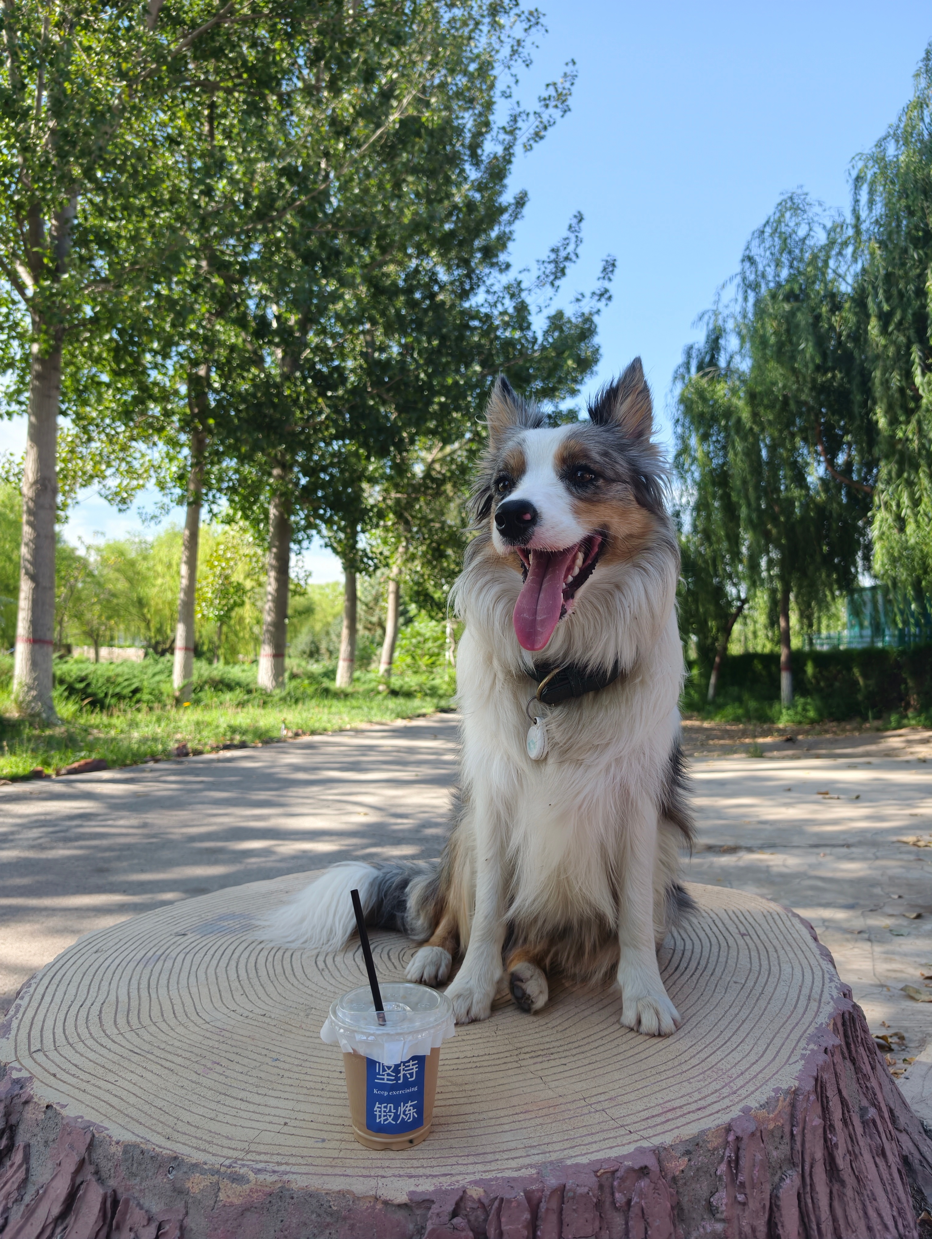 最近 80 后 90 后们，据说又流行染黄毛？号称重拾那年夕阳下奔跑的青春…老实